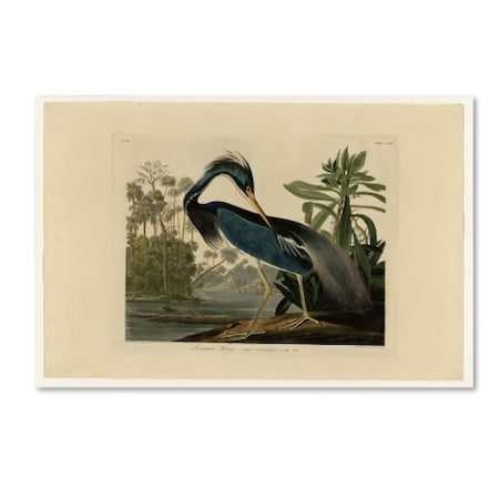 John James Audubon 'Louisiana Heron' Canvas Art,12x19